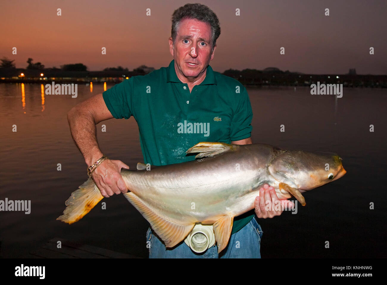 Pesca, Bangkok, Thailandia Foto Stock