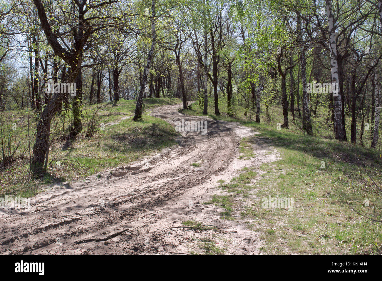 Strada sterrata sulla collina di boschetti Foto Stock