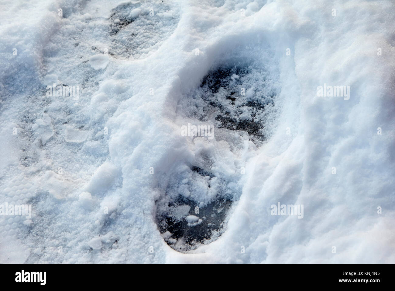 Ingombro con neve compatta che mostra black ice sotto newtownabbey Irlanda del Nord Regno Unito Foto Stock