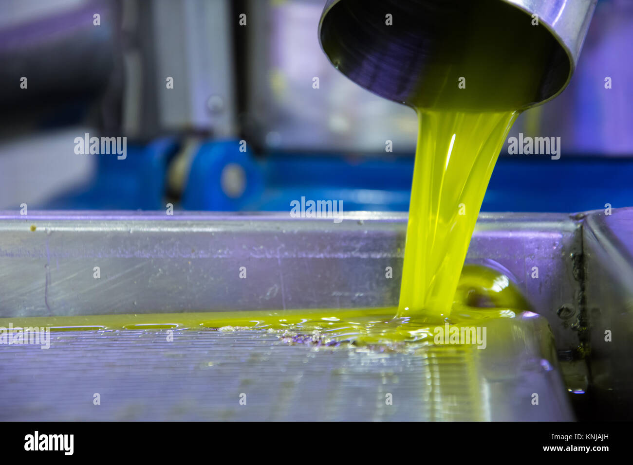 Fresche olio vergine di oliva versare nel serbatoio in un freddo-premere la fabbrica dopo la raccolta delle olive, Creta, Grecia. Foto Stock