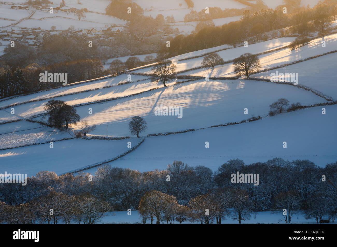 Paxton's Tower. Regno Unito. 11 dicembre, 2017. Guardando attraverso una coperta di neve landsape al tramonto, alberi nudo gettando ombre su campi. Parco Nazionale di Brecon Beacons, Galles. Credito: Drew Buckley/Alamy Live News Foto Stock