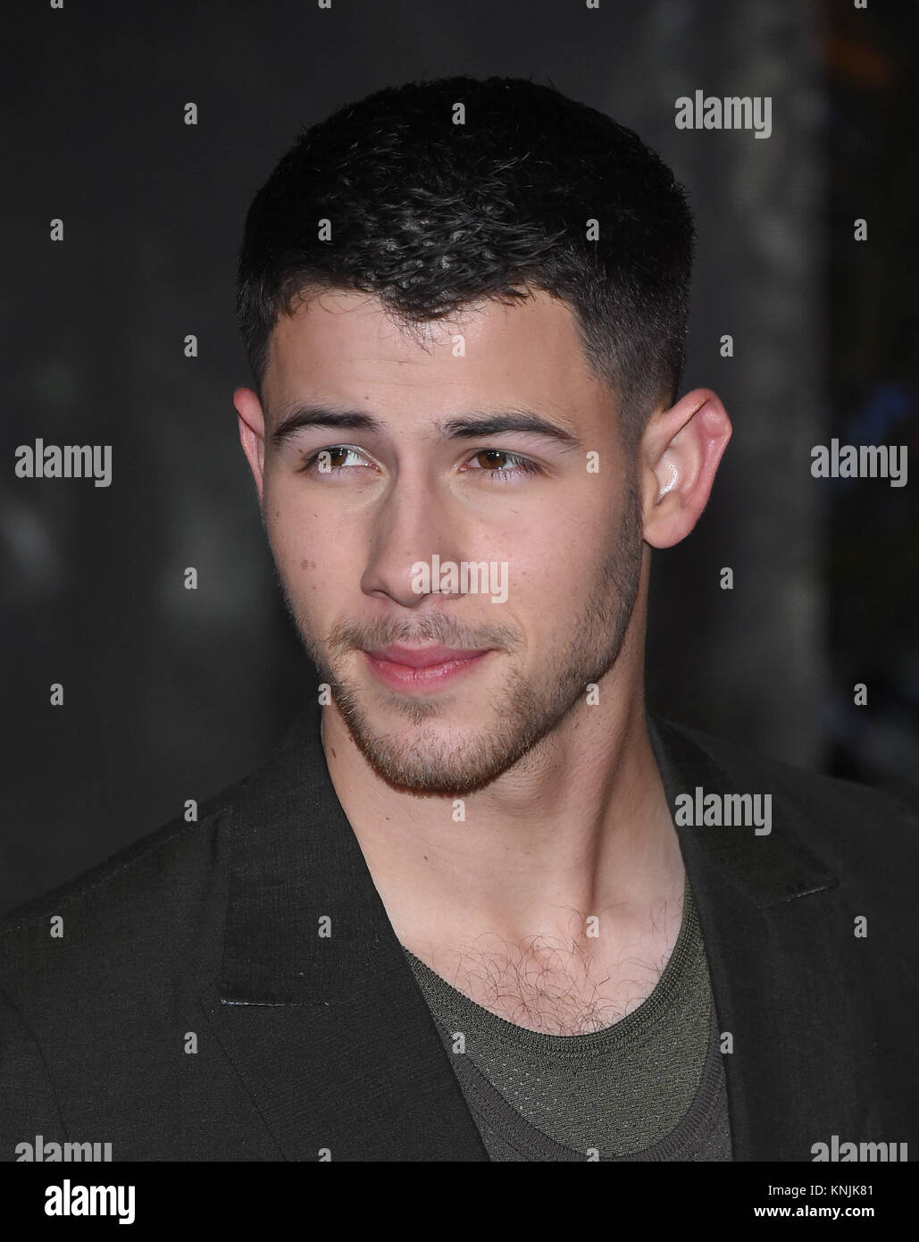 Hollywood, California, USA. Undicesimo Dec, 2017. Nick Jonas arriva per il 'Jumanji: Welcome To The Jungle' Los Angeles Premiere al teatro cinese. Credito: Lisa O'Connor/ZUMA filo/Alamy Live News Foto Stock
