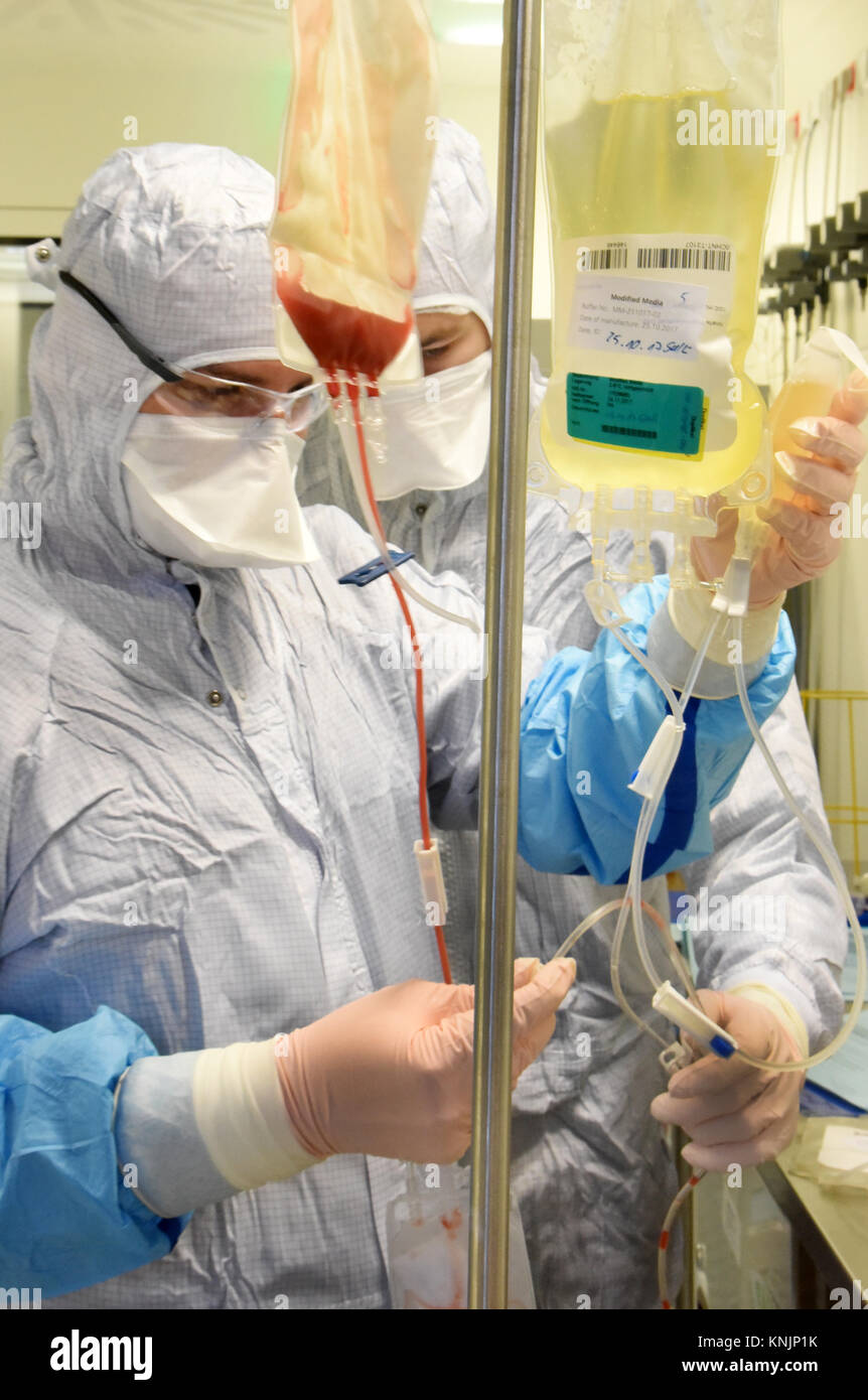 La tecnica farmaceutica assistente Michael Nemetz e il laboratorio biologico tecnico Simon Kuebler (R) il lavoro su una nuova forma di cella personalizzato terapia contro il cancro con alta tecnologia specializzata all'interno di una camera pulita presso l'Istituto Fraunhofer per la terapia cellulare e l'Immunologia (IZI) a Leipzig, Germania, 20 novembre 2017. Il Fraunhofer Institute sta lavorando sul progetto congiunto con la società Novartis Pharma AG al fine di sviluppare adeguatamente la nuova forma di terapia, l'antigene chimerico terapia del recettore (carrello). Esso richiede la riprogrammazione dei pazienti· proprie cellule immunitarie di trattare i loro Foto Stock