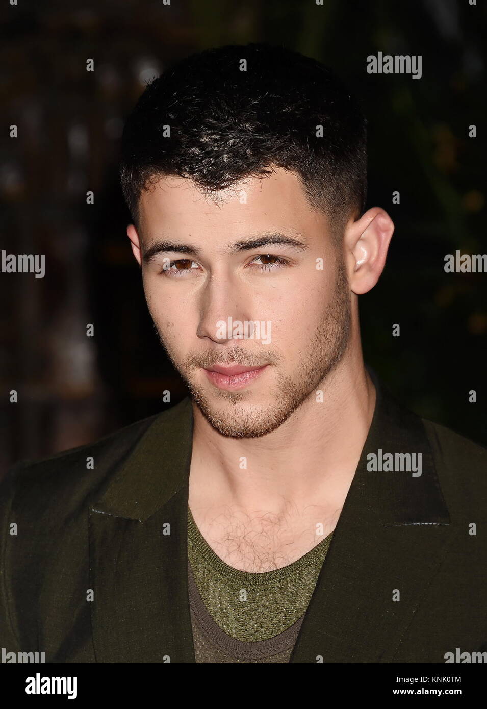 Hollywood, California. Undicesimo Dec, 2017. HOLLYWOOD, CA - 11 dicembre: il cantante-cantautore/attore Nick Jonas assiste la premiere del Columbia Pictures' 'Jumanji: Welcome To The Jungle" presso la leva TCL Teatro Cinese su dicembre 11, 2017 in Hollywood, la California. | Verwendung weltweit Credito: dpa/Alamy Live News Foto Stock