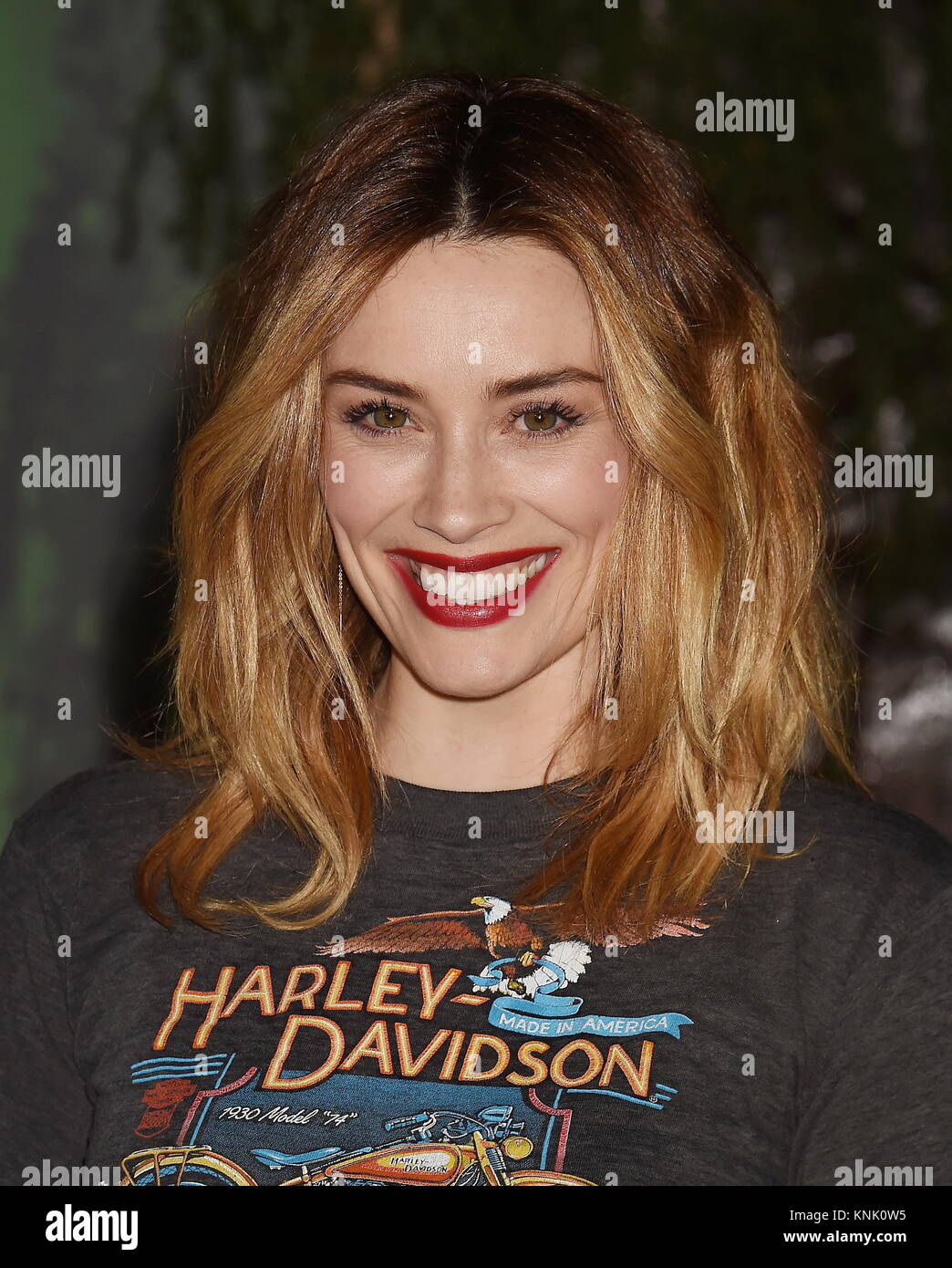 Hollywood, California. Undicesimo Dec, 2017. HOLLYWOOD, CA - 11 dicembre: l'attrice/modello Arielle Vandenberg assiste la premiere del Columbia Pictures' 'Jumanji: Welcome To The Jungle" presso la leva TCL Teatro Cinese su dicembre 11, 2017 in Hollywood, la California. | Verwendung weltweit Credito: dpa/Alamy Live News Foto Stock