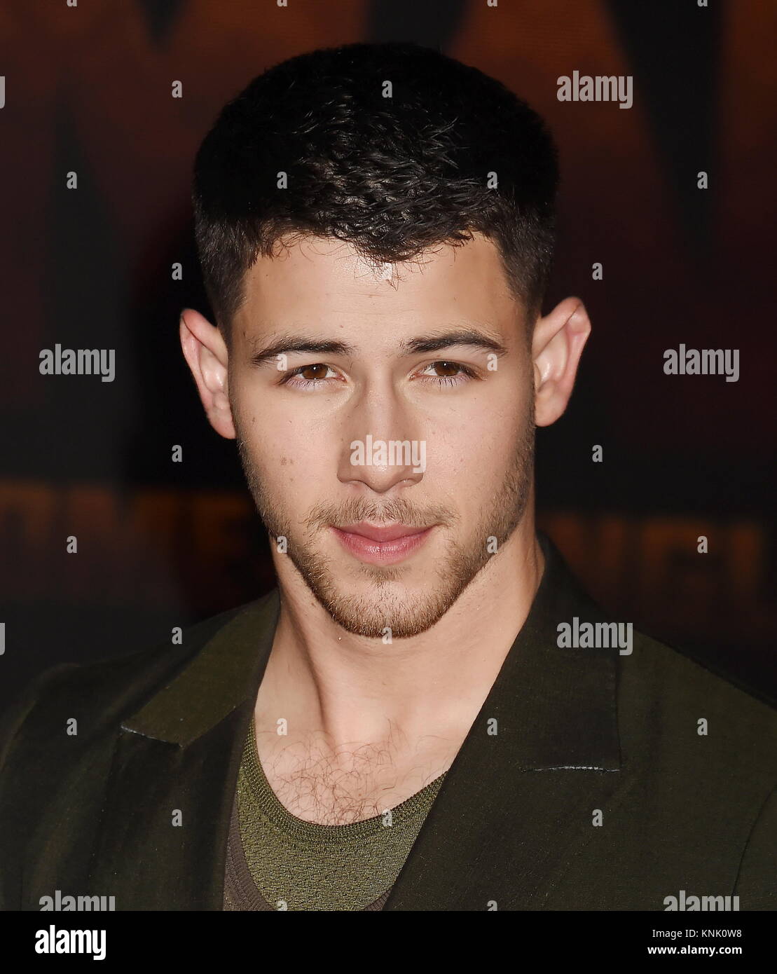 Hollywood, California. Undicesimo Dec, 2017. HOLLYWOOD, CA - 11 dicembre: il cantante-cantautore/attore Nick Jonas assiste la premiere del Columbia Pictures' 'Jumanji: Welcome To The Jungle" presso la leva TCL Teatro Cinese su dicembre 11, 2017 in Hollywood, la California. | Verwendung weltweit Credito: dpa/Alamy Live News Foto Stock