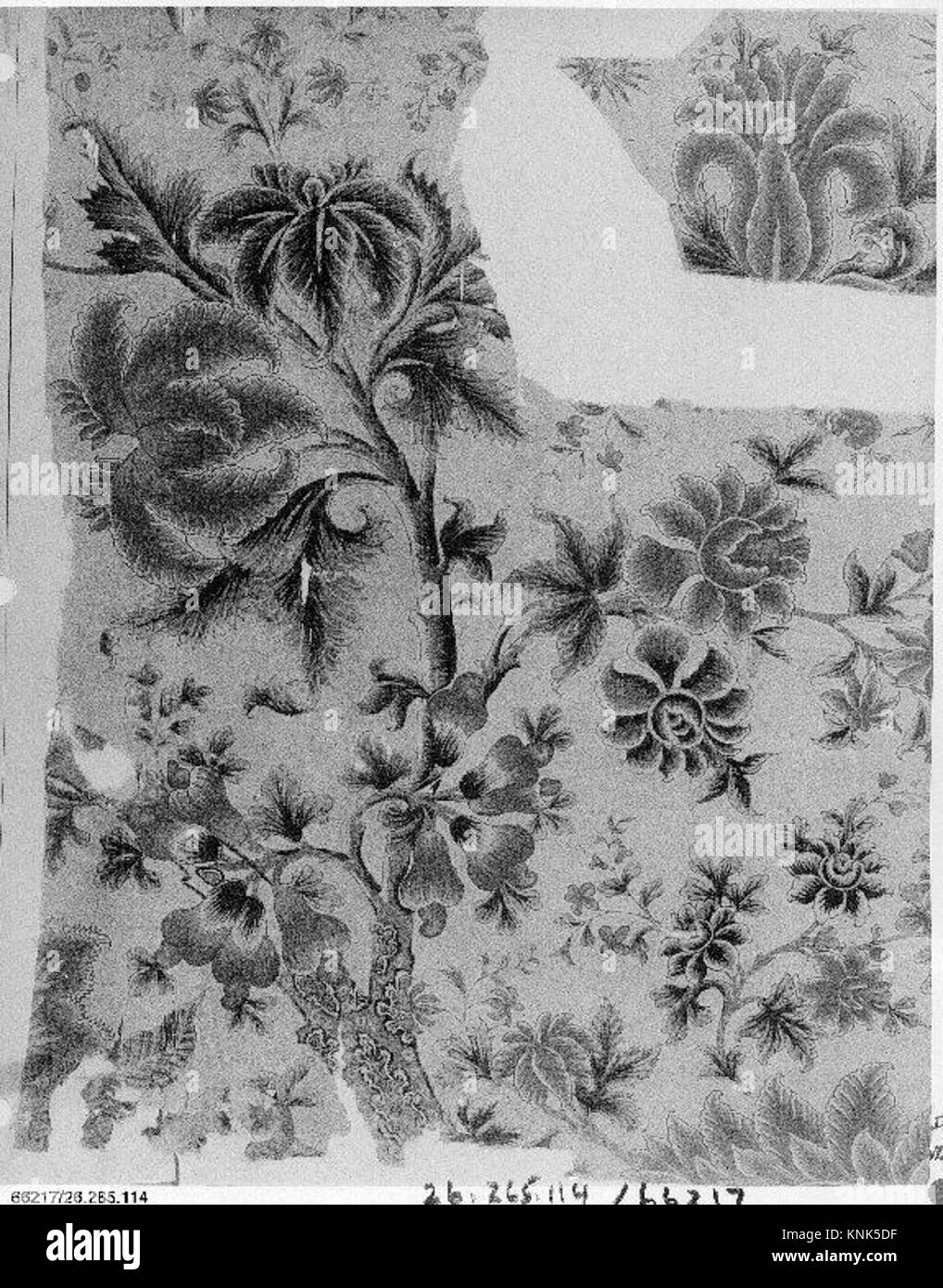 Questo frammento di cotone del XVIII secolo presenta disegni dipinti ed è attribuito all'arte islamica, dimostrando le tecniche tessili decorative del periodo. Foto Stock