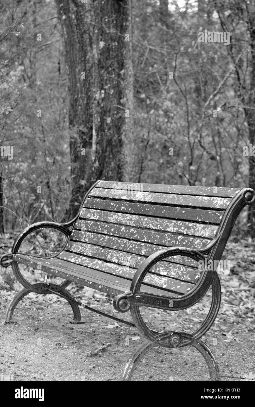 Immagine in bianco e nero di una panchina nel parco sulla neve Foto Stock