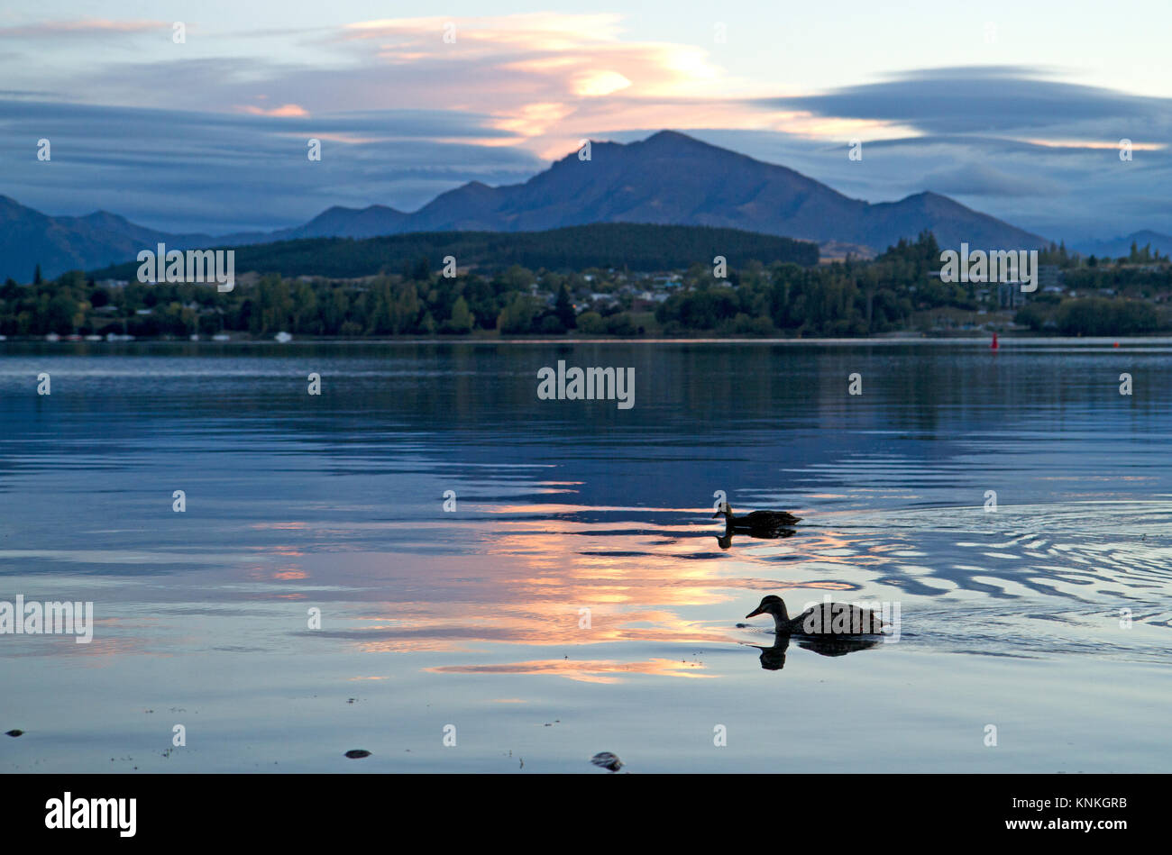Lago Wanaka Foto Stock