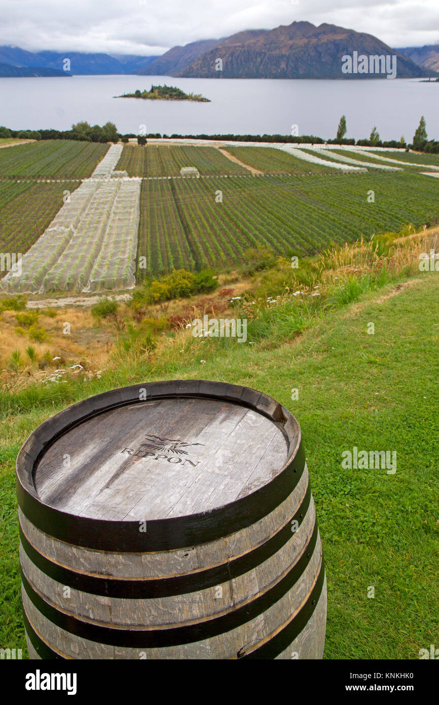 Rippon Cantina sulle rive del Lago Wanaka Foto Stock