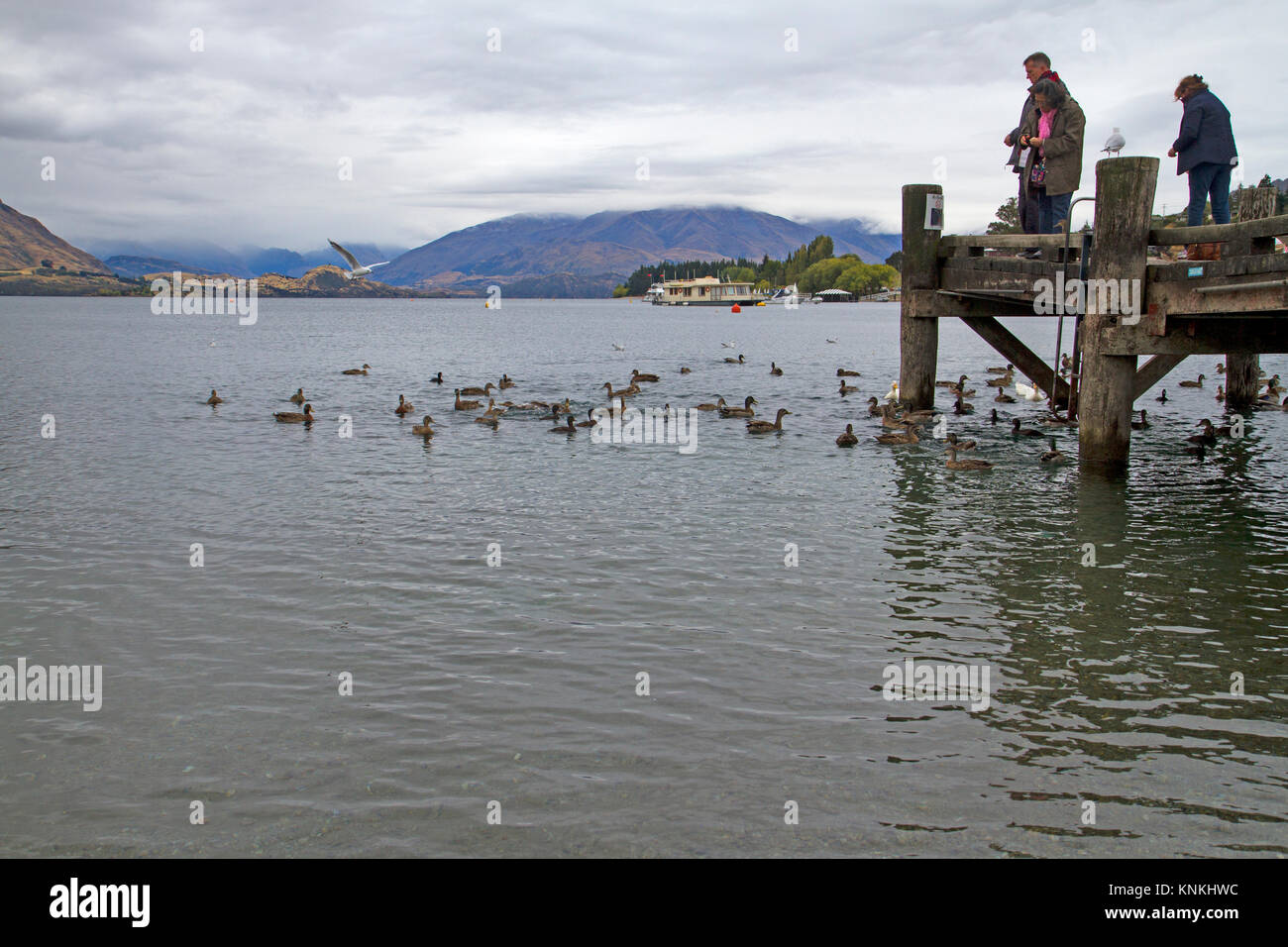 Pontile sul Lago Wanaka Foto Stock