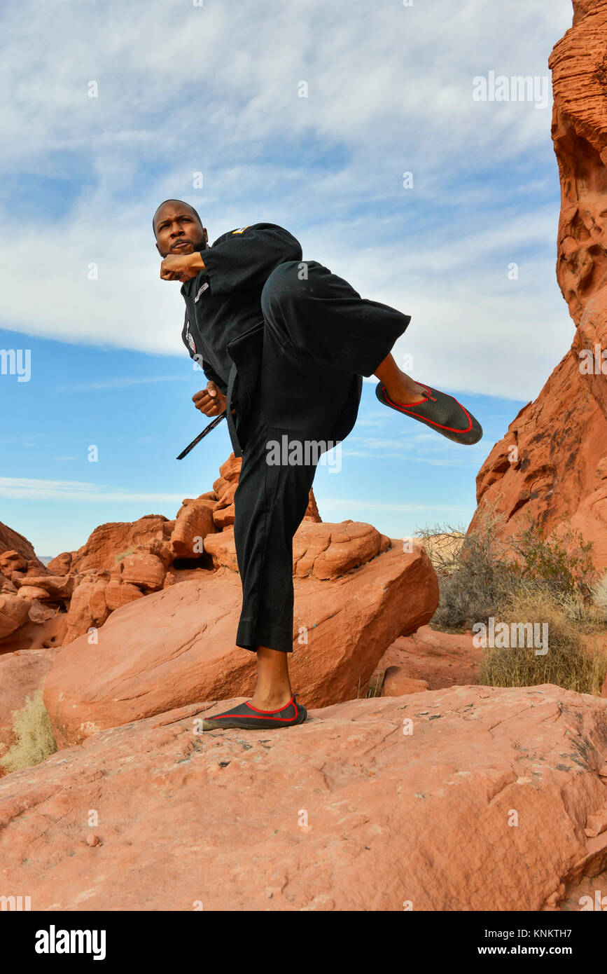 African American uomo a praticare arti marziali nel deserto del Nevada. Foto Stock