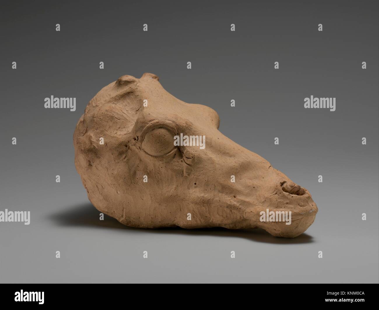 Testa in terracotta di un cervo. Periodo: tardo classico; Data: 4° secolo a.C; Cultura: greco, Sud italiano, Tarentine; medie: Terracotta; dimensioni: Foto Stock
