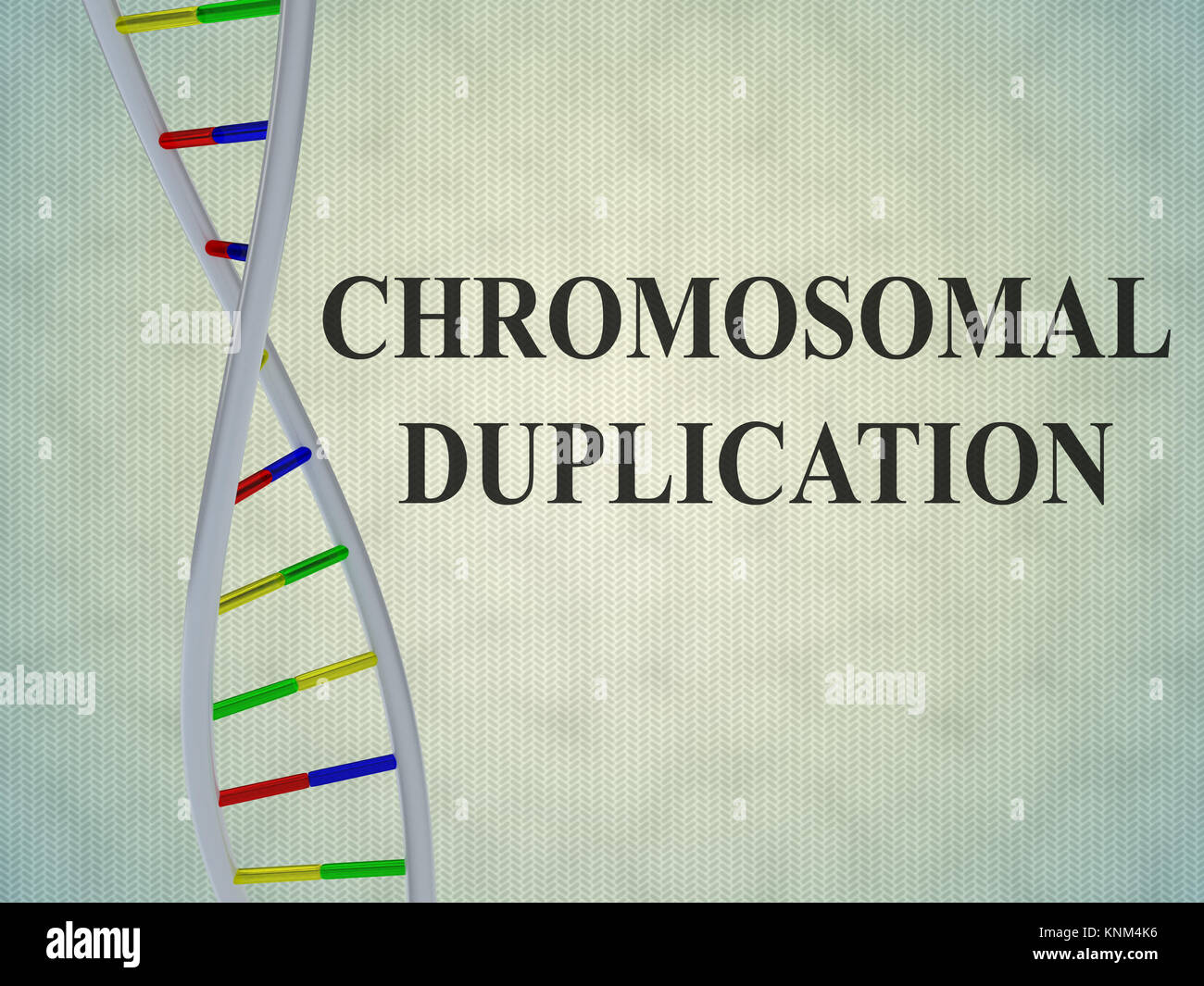 3D illustrazione di 'duplicazione cromosomica' script con la doppia elica del DNA , isolate su fondo azzurro. Foto Stock