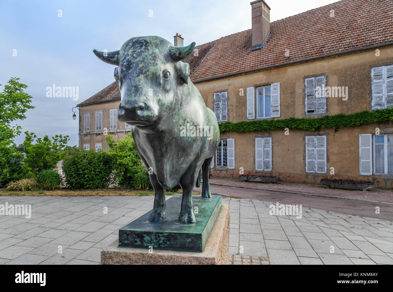 Francia, Côte-d'Or (21), Parc naturel régional du Morvan, Saulieu, le Biancheria Taureau par François Pompon // Francia, Cote d'Or, Morvan Parco Naturale Regionale, S Foto Stock