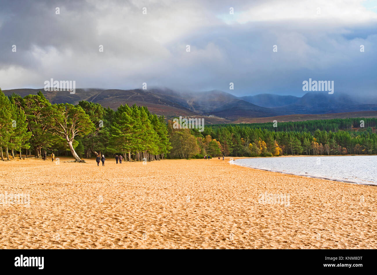 La gente camminare sulla spiaggia sabbiosa a Loch Morlich,Glenmore, Highlands scozzesi, blustery luminosa giornata autunnale, il misty Cairngorm altopiano sorge dietro. Foto Stock