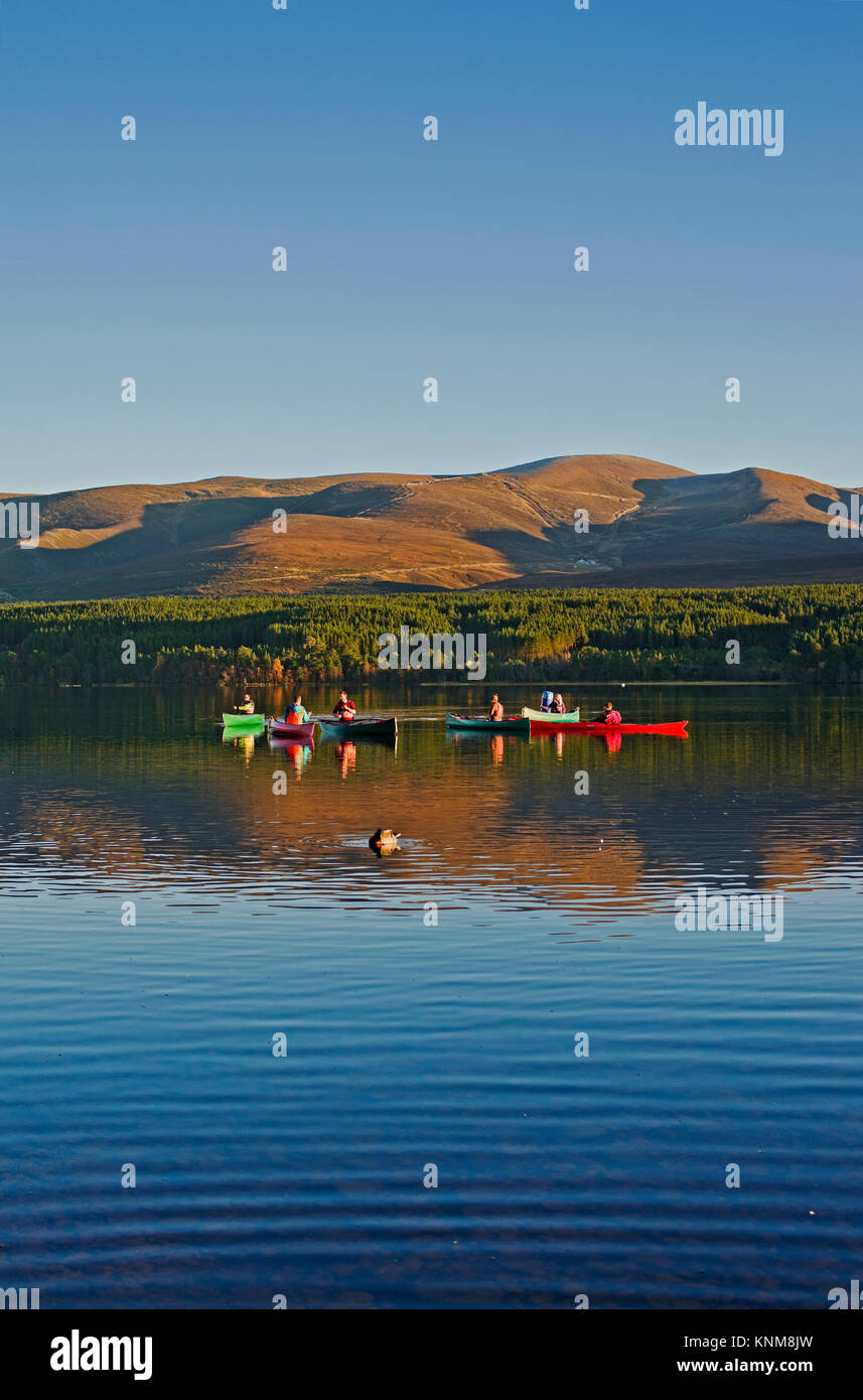 Gruppo di persone aventi le lezioni di sport acquatici sul Loch Morlich, Cairngorm summit crescente dietro, tranquillo pomeriggio autunnale, Highlands scozzesi, Scotland Regno Unito Foto Stock