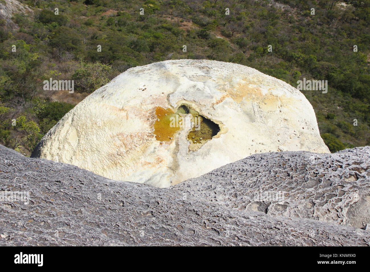 Hierve el Agua, la molla piccola con acqua minerale sul cascadas petrificadas, Oaxaca, Messico Foto Stock