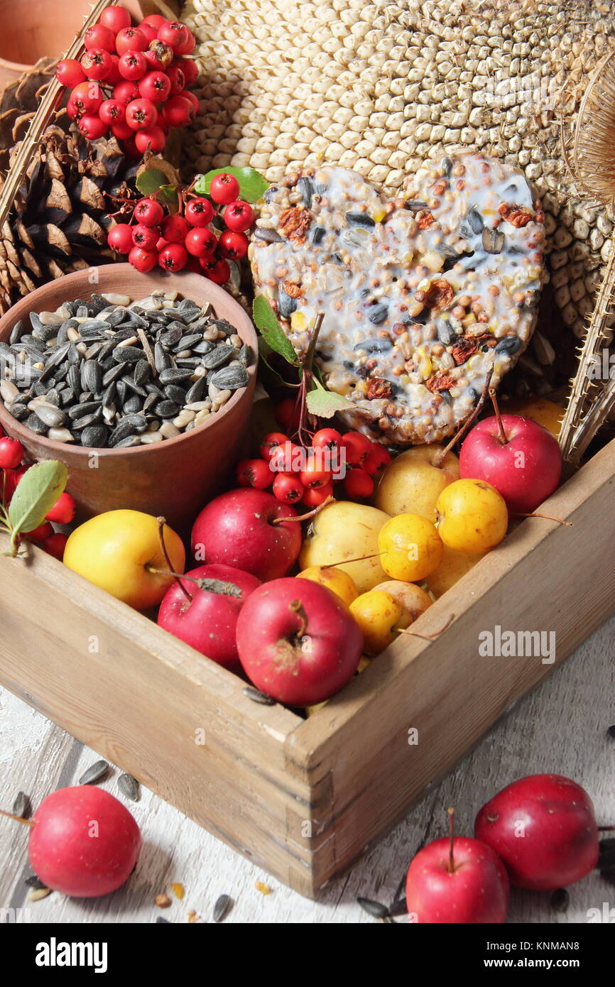 Bird di cibo a buffet ingredienti inclusi granchi mele, semi di girasole, teasel teste di seme, pyracantha bacche e una torta suet, raccolte in un vassoio di legno Foto Stock