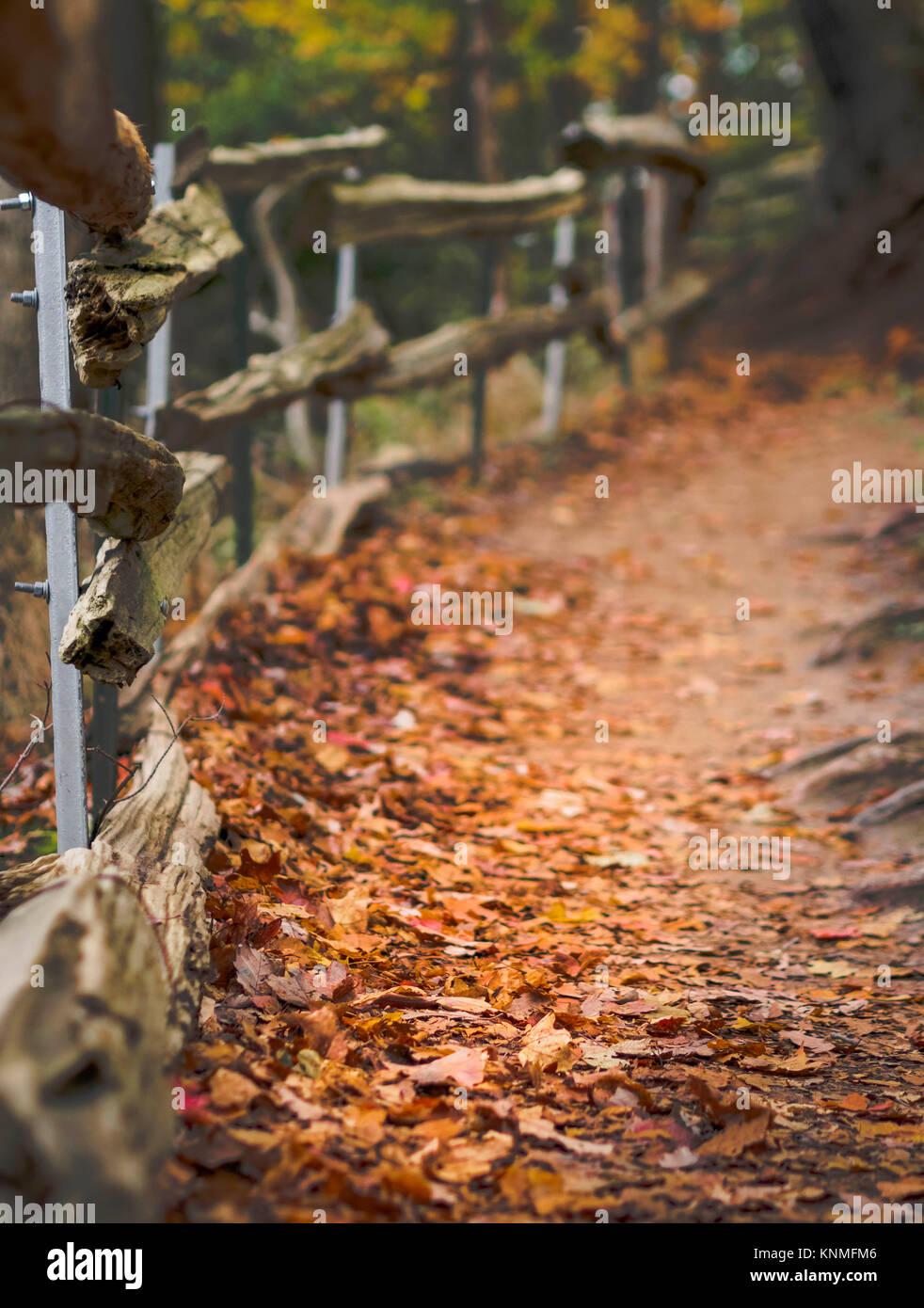 Sentiero coperto con foglie di autunno/ autunno meteo lungo la recinzione in legno in Hamilton, Ontario, Canada area Foto Stock
