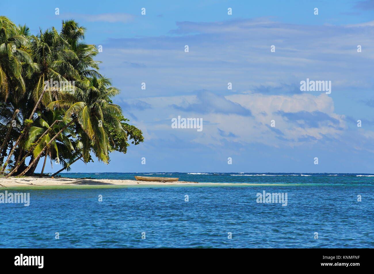 Isola tropicale con inclinazione palme di cocco e un di legno piroga sulla spiaggia e il mare dei Caraibi, Bocas del Toro, Panama America Centrale Foto Stock