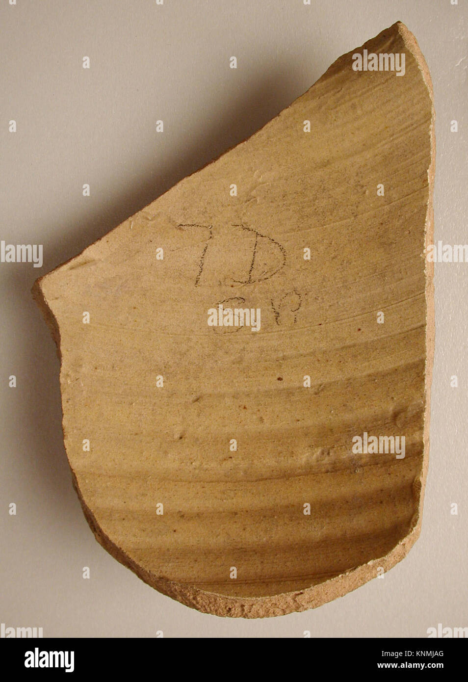 Un frammento del Metropolitan Museum, numero di catalogo wb-40.170.497b 450167, caratterizzato da ammassi di punti bianchi su una superficie, che rappresentano un significato decorativo o storico. Foto Stock