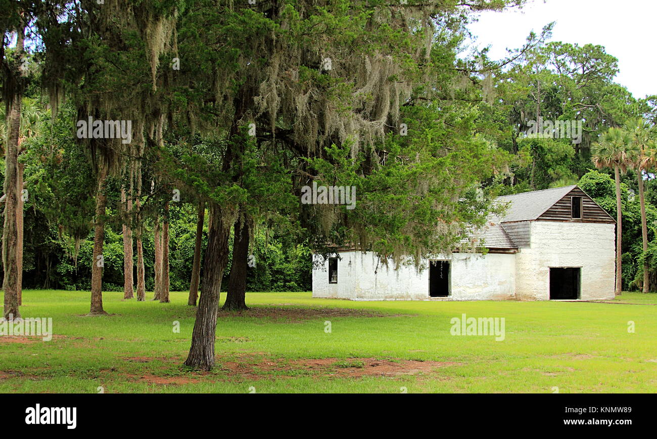 Kingsley Plantation a Jacksonville, in Florida. Alberi e slave rovine di cabina. Foto Stock