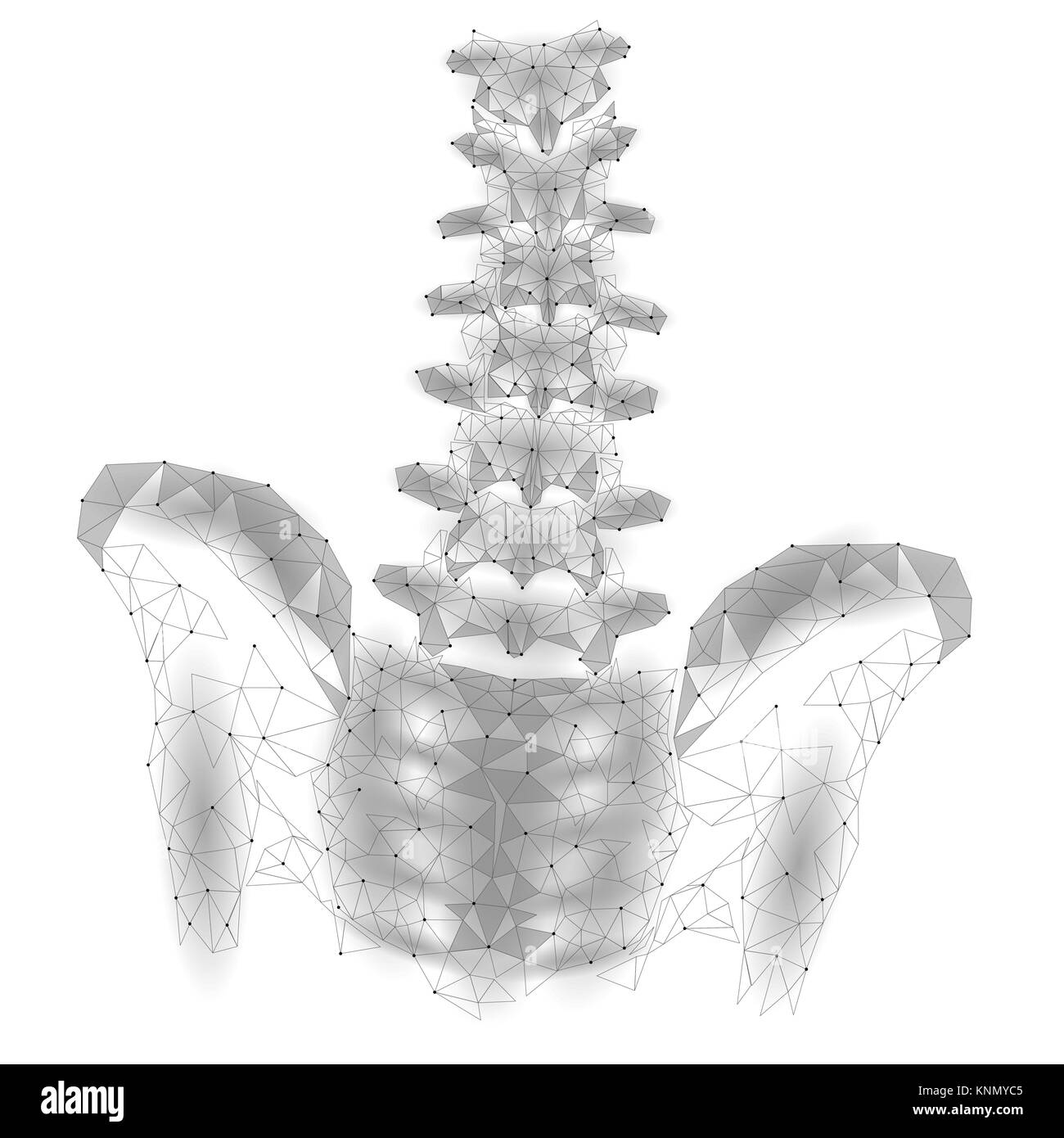 Colonna vertebrale umana hip radiculitis lombare dolore bassa poli. Geometrica delle particelle poligonali triangolo linea punto la medicina del futuro technology astratto bianco grigio illustrazione vettoriale Illustrazione Vettoriale