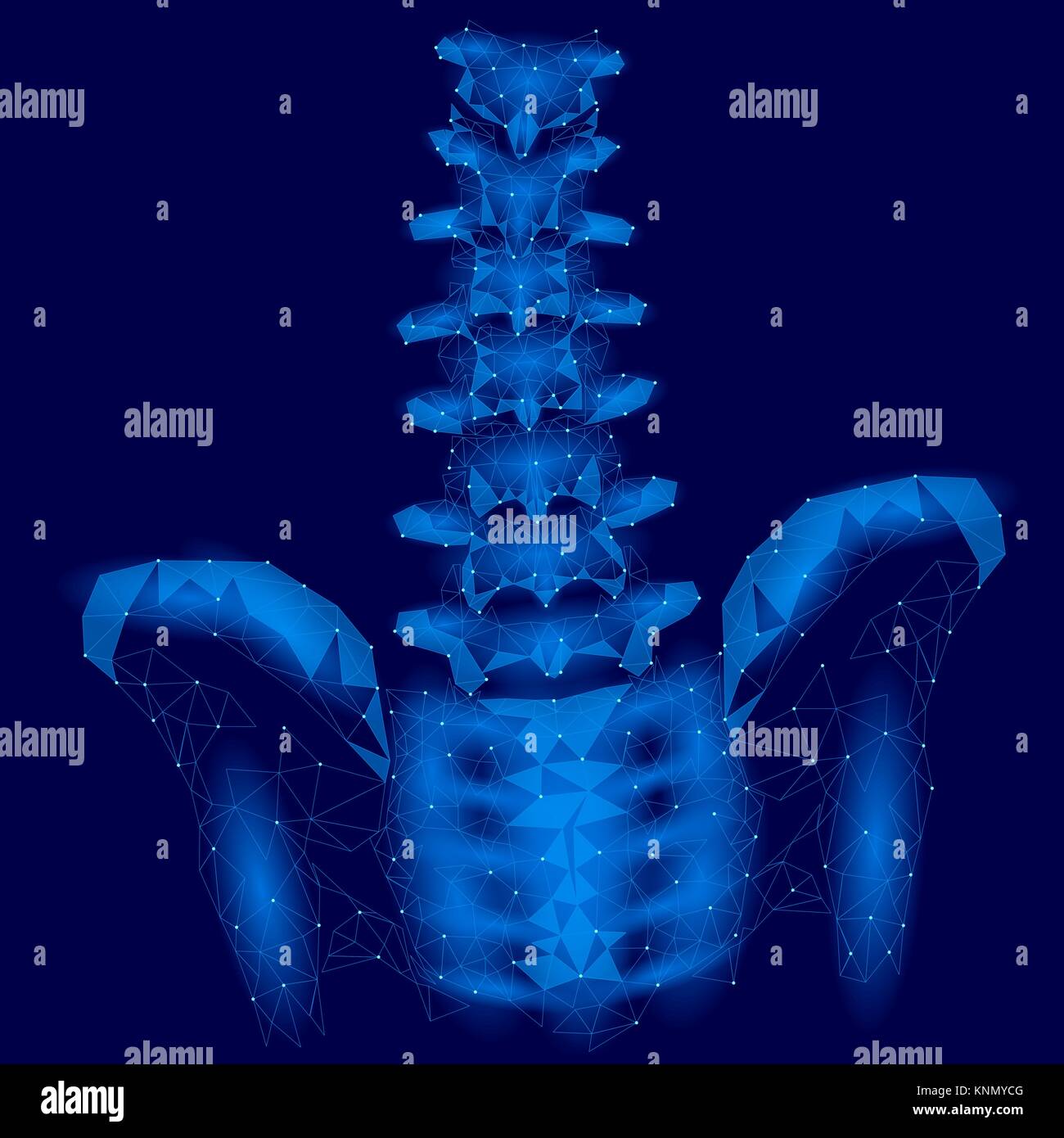 Colonna vertebrale umana hip radiculitis lombare dolore bassa poli. Geometrica delle particelle poligonali triangolo linea punto la medicina del futuro la tecnologia blue illustrazione vettoriale Illustrazione Vettoriale