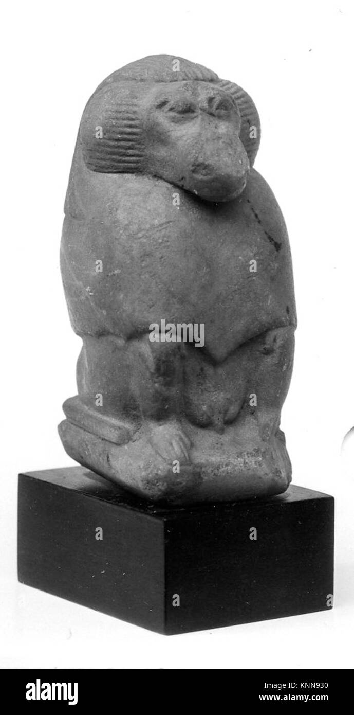 Una figura in marmo di un babbuino dell'antico Egitto del tardo periodo (664–332 a.C.). La scultura è alta 6 cm ed è stata donata da Joseph W. Drexel nel 1889. Rappresenta l'animale sacro associato al dio Thoth. Foto Stock