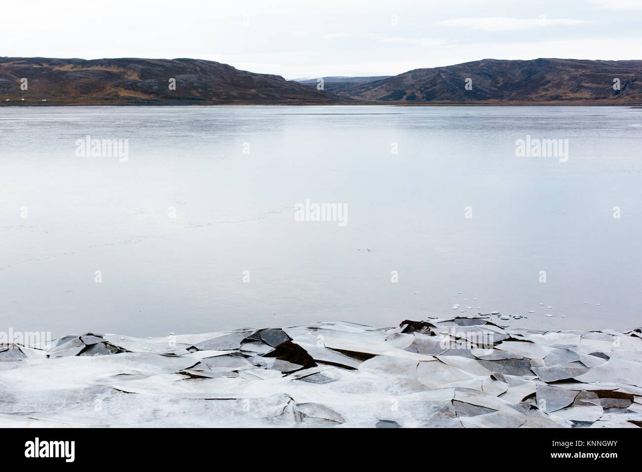 Ghiaccio frantumato di un fiordo di congelamento in Islanda Foto Stock