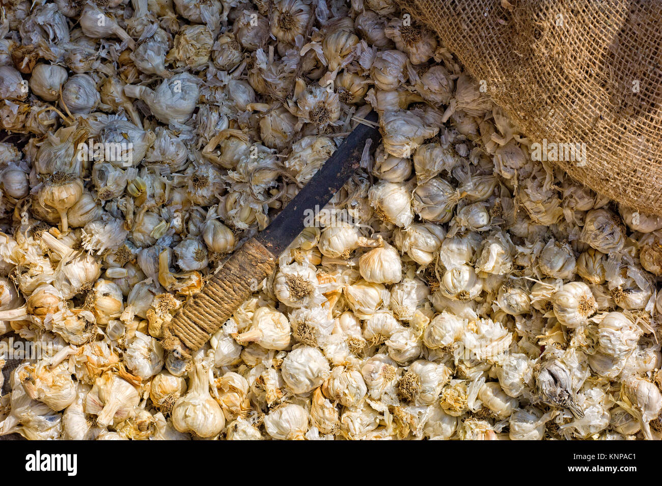 Mucchio di aglio Foto Stock