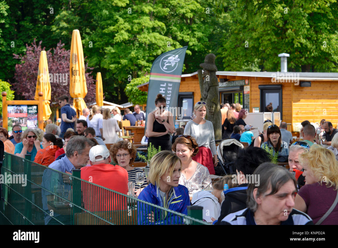 Giardino della birra rapa numero, Koepenick, Treptow-Koepenick, Berlino, Germania, Biergarten Ruebezahl, Deutschland Foto Stock