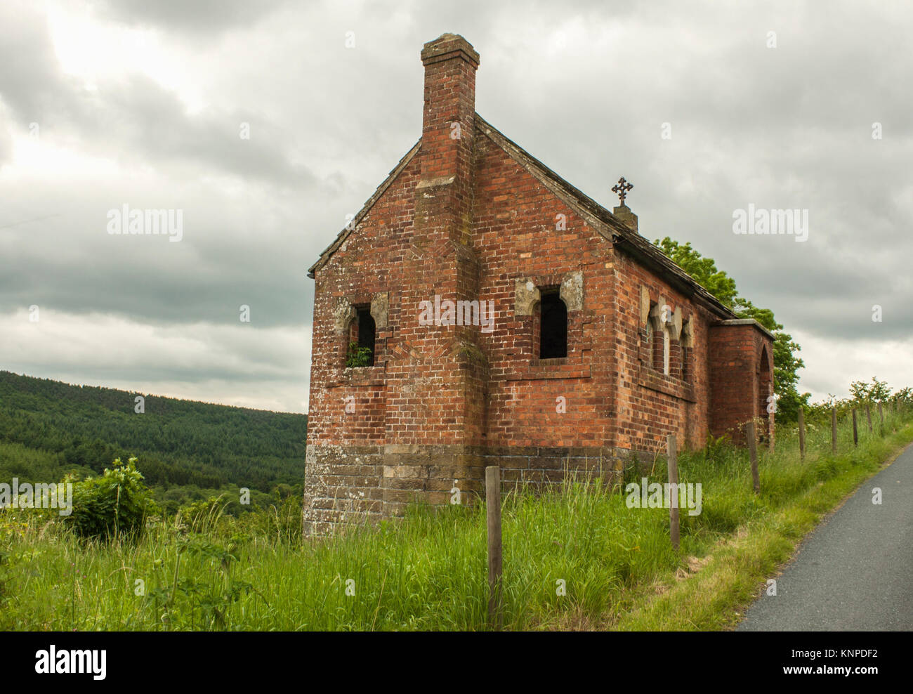Troutdale e Martindale Dalby forrest northyorkshire Foto Stock