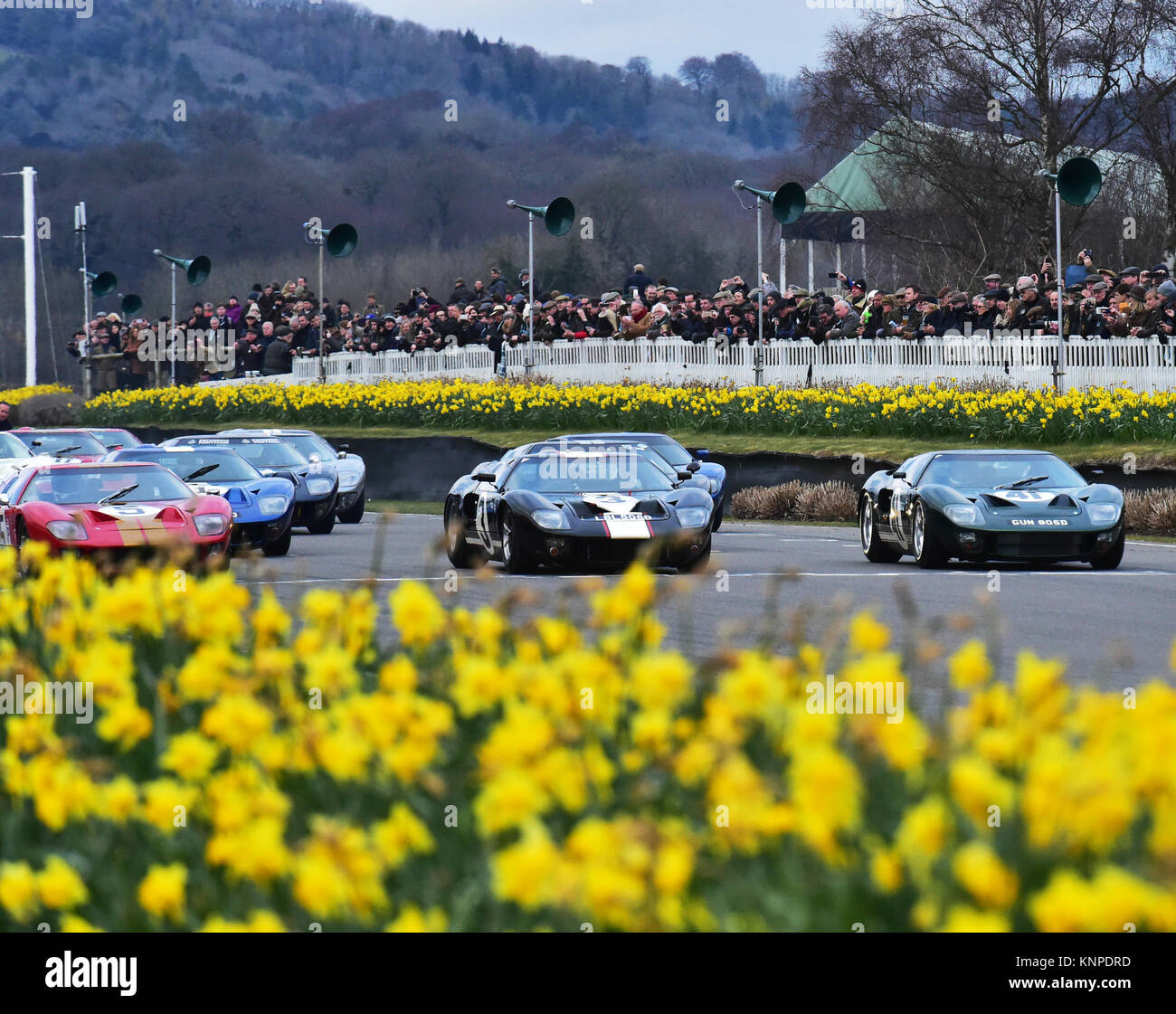 Linea di griglia fino, Ford GT40, Alan Mann trofeo, Goodwood 74a Assemblea dei Soci, automobili, Chris McEvoy, il circuito da corsa, CJM Fotografia, Classic Cars, Inghilterra, Foto Stock