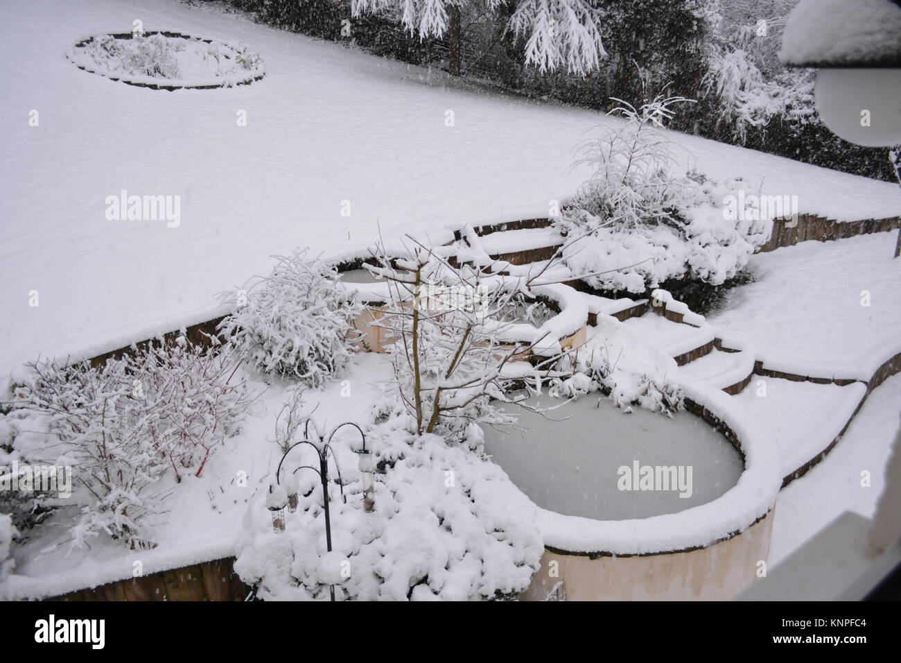 Grandi stagni di circolare nella neve e nel ghiaccio coperto in giardino dopo una forte tempesta di neve con piccoli arbusti e cespugli di doward south herefordshire England Regno Unito Foto Stock