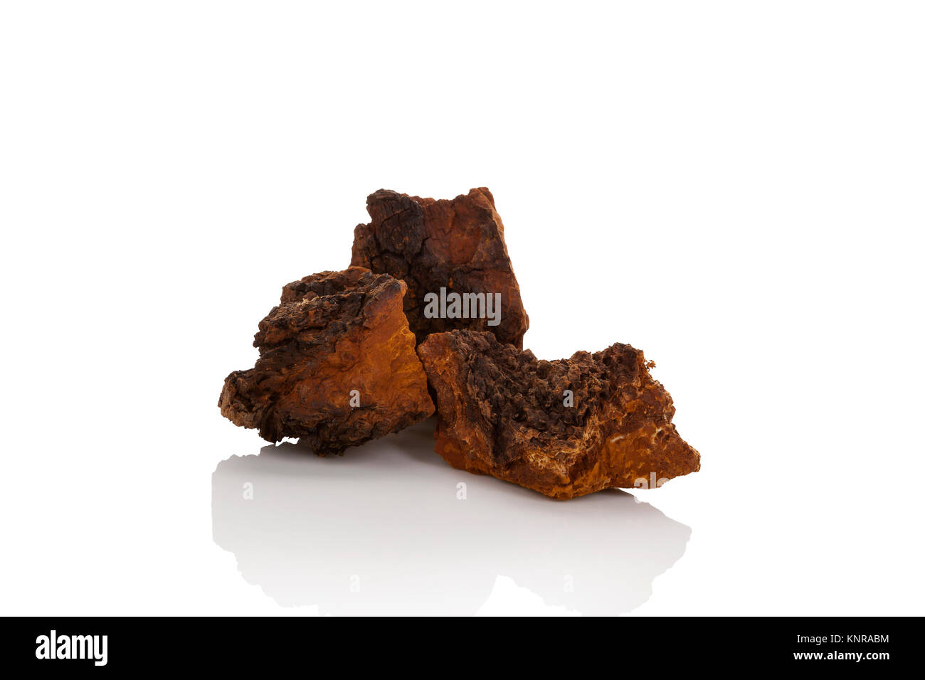 Chaga sani i pezzi di funghi isolati su sfondo bianco. Inonotus obliquus. Foto Stock