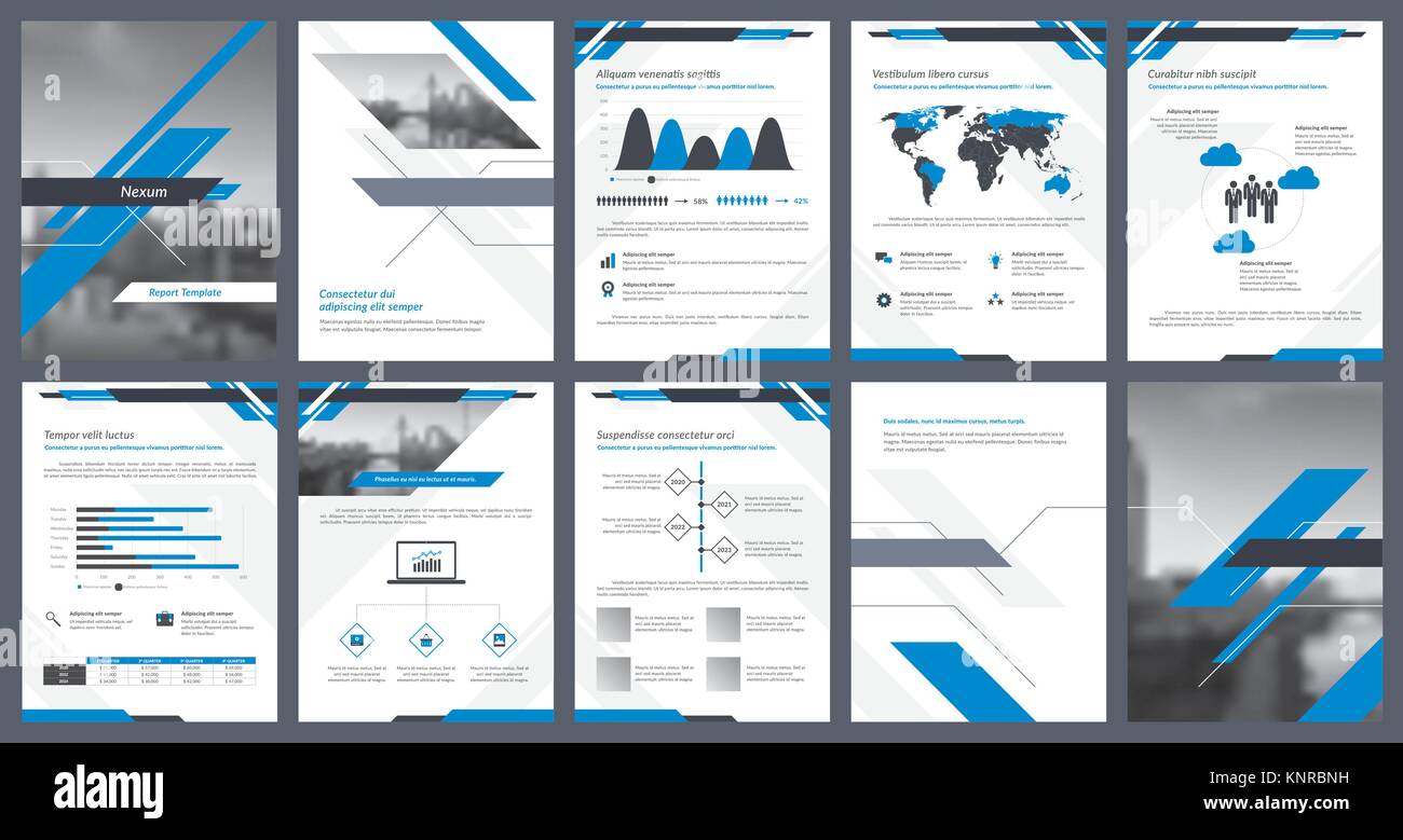 Elementi di infographics per modello di report e presentazioni di modelli. Corporate annual report, opuscolo, prenota design di copertura, brochure e volantini temp Illustrazione Vettoriale