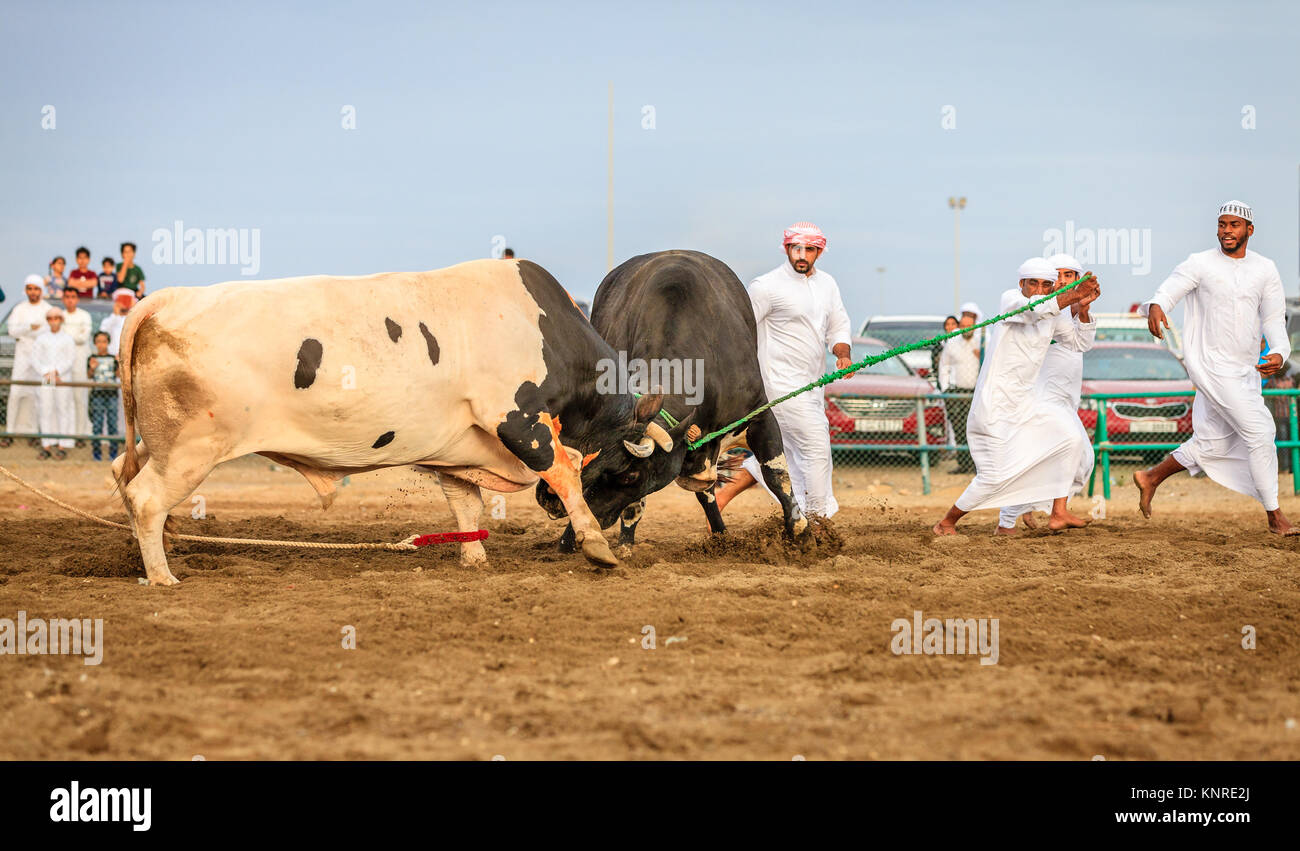 Fujairah, UAE, 1 Aprile 2016: Foto Stock