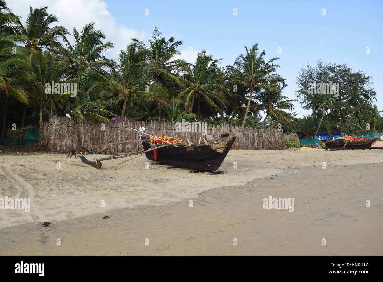 Vecchia barca in legno su di una spiaggia di sabbia con palme e alberi di noce di cocco. Raffreddare sullo sfondo di un paesaggio foto/immagini/foto per desktop, applicazioni e progetti web. Foto Stock