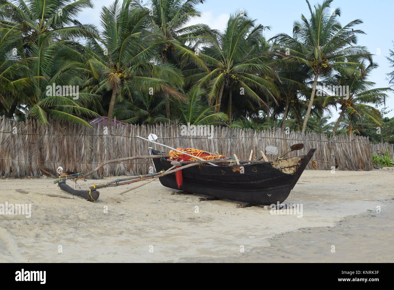 Vecchia barca in legno su di una spiaggia di sabbia con palme e alberi di noce di cocco. Raffreddare sullo sfondo di un paesaggio foto/immagini/foto per desktop, applicazioni e progetti web. Foto Stock