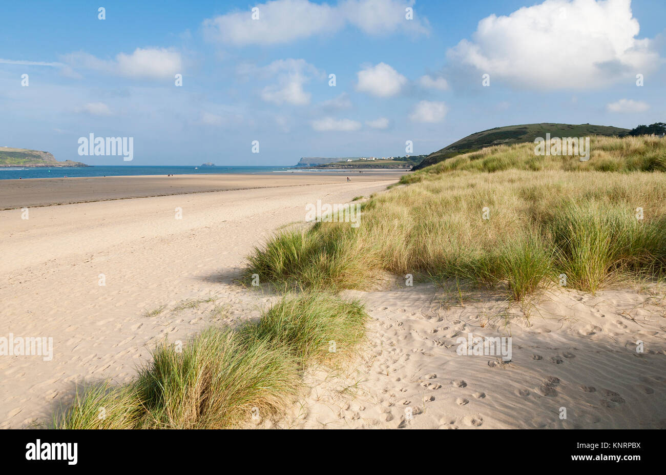 Dune di sabbia a Baia Daymer sull'estuario del cammello, Cornwall, Inghilterra. Foto Stock