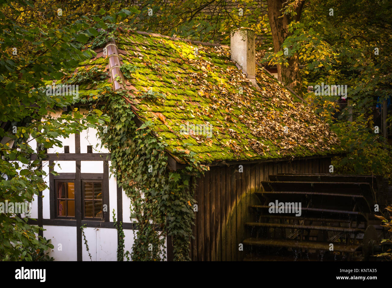 Mezza Timber House Bungalow Villaggio fiume architettura Waterwheel Fiabesco edificio foglie della foresta di fantasia tramonto caldo pomeriggio accogliente Europeo tedesco S Foto Stock
