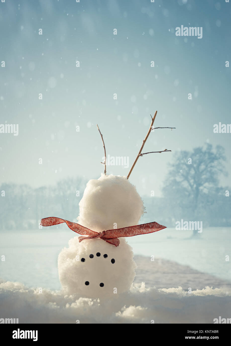 Toppa Riflettente Ferro Da Stiro Pupazzo Di Neve | Sicurezza Stradale Per Bambini, Lavabile, Alta Visibilità - 3