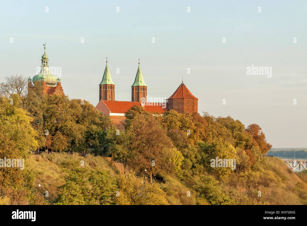 Castello dei Duchi Masovian e Cattedrale di Plock, Polonia Foto Stock