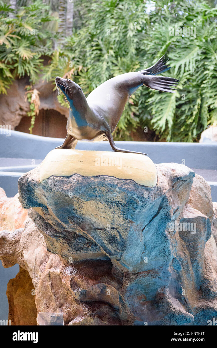 Un leone di mare in posa su di una roccia a Loro Parque Foto Stock
