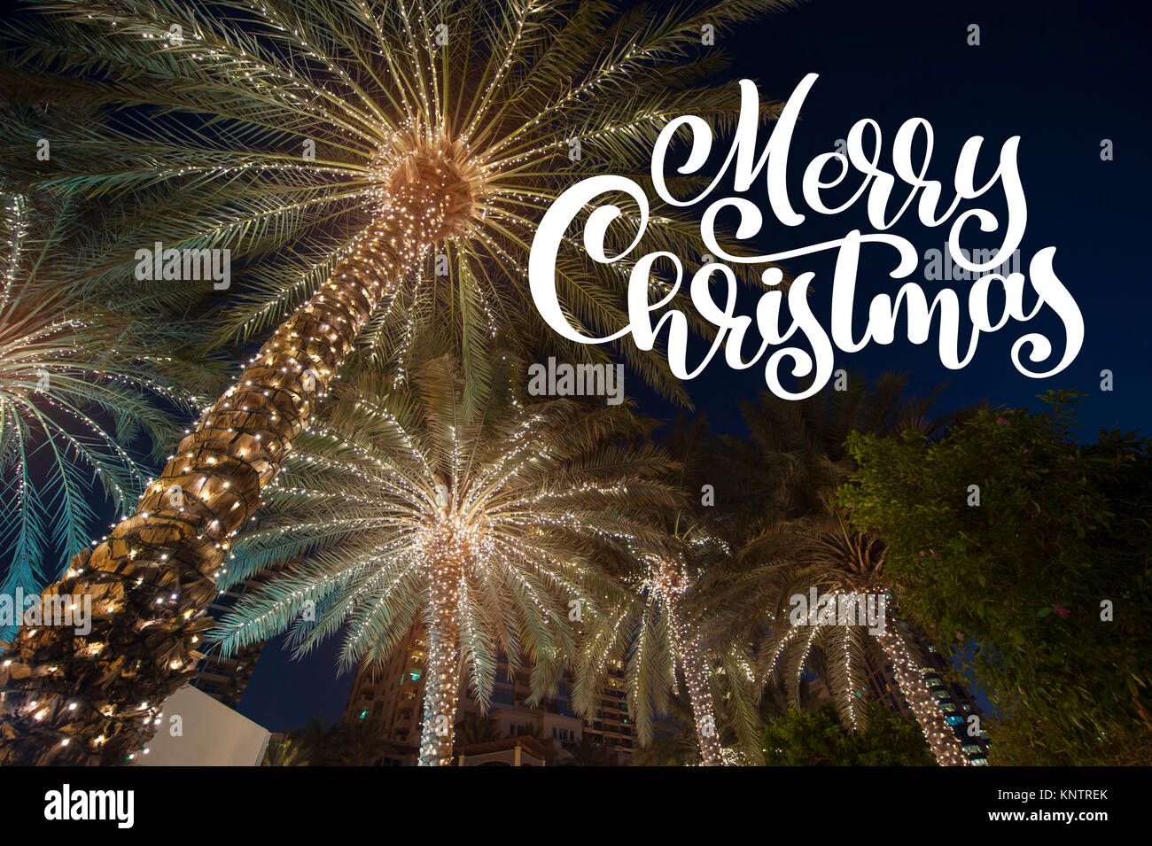 Sfondo di natale Palm tree nella città di notte con sovrapposizione di fotografie Merry Christmas, biglietto di auguri Foto Stock