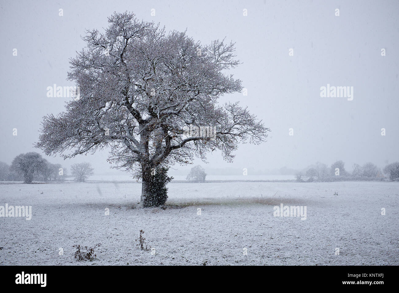 La prima nevicata di questo inverno in poco Clacton, Essex. Foto Stock