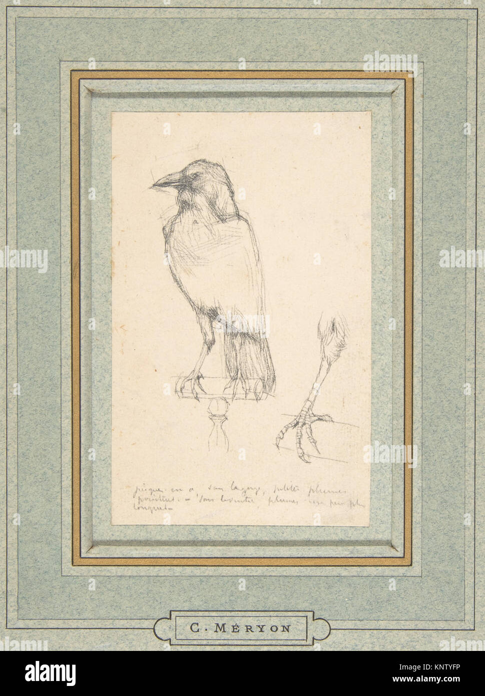 Questo disegno della metà del XIX secolo di Charles Meryon raffigura un corvo arroccato su un binario. Realizzato in grafite su carta tessuta su un tappeto francese blu-verde, l'opera mostra l'osservazione dettagliata di Meryon sulla fauna urbana. Foto Stock
