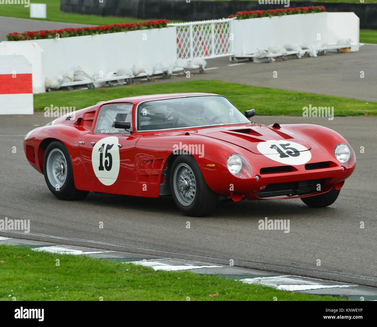 Barrie 'Whizzo' Williams, Nigel Greensall, ISO Bizzarini A3C, RAC, Royal Automobile Club, TT celebrazione, Goodwood 2014, Autosport, Goodwood R Foto Stock